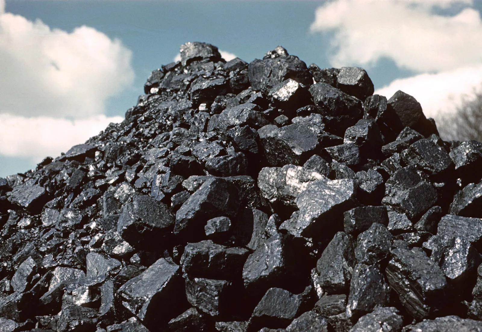 Industrial Coal Trading & Supply